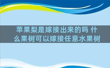 苹果梨是嫁接出来的吗 什么果树可以嫁接任意水果树